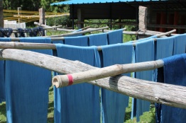 indigo dyed cotton drying on bamboo