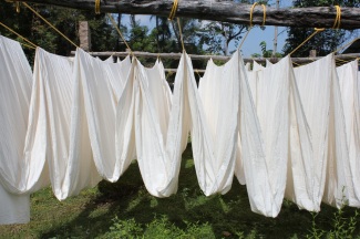 cotton drying after scouring